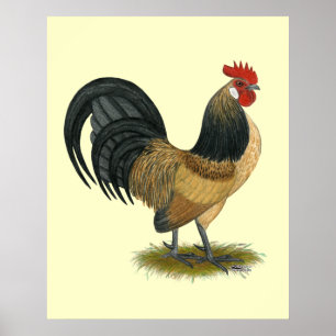 Dutch Bantam: Blue Quail Rooster Poster
