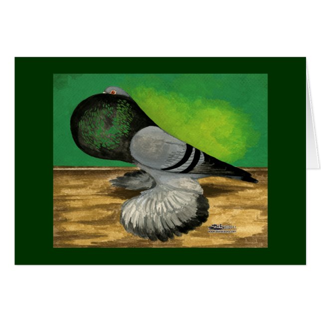 Dutch Cropper Blue Bar (Vorderseite (Horizontal))