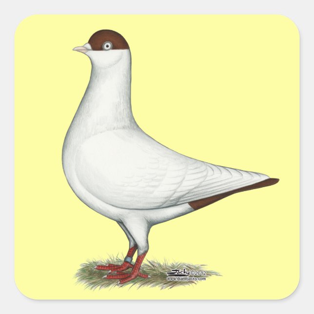 Dutch Helmet Pigeon Quadratischer Aufkleber (Vorderseite)