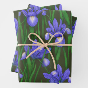 Dutch Iris Geschenkpapier Set