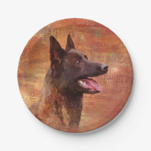 Dutch Shepherd - Hollandse Herdershond