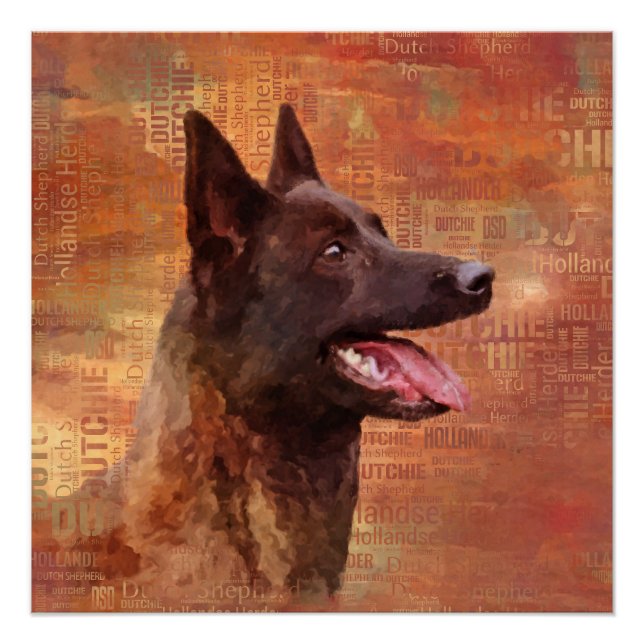 Dutch Shepherd - Niederländische Illustration Poster (Vorderseite)