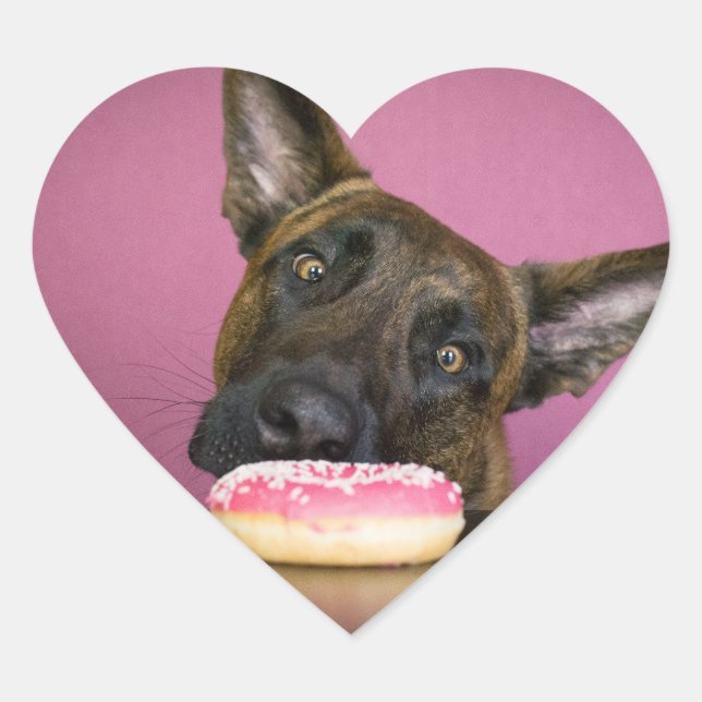 Dutch shepherd versus donut Herz-Aufkleber (Vorderseite)