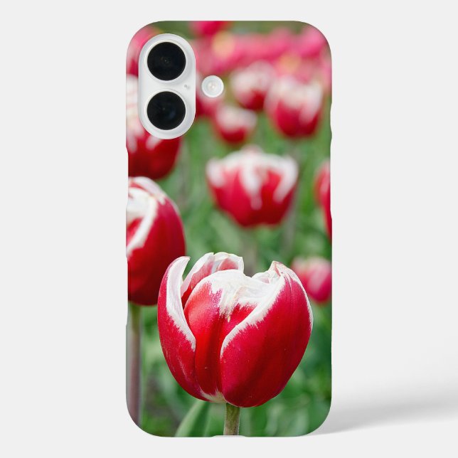 Dutch Tulip Garden iPhone 16 Hülle (Rückseite)