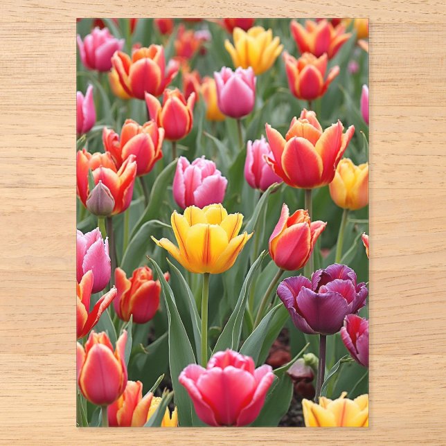 Dutch Tulips Acryleinladungen (Vorderseite)