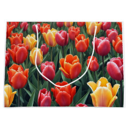 Dutch Tulips Große Geschenktüte
