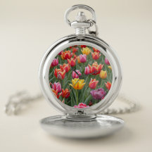 Dutch Tulips