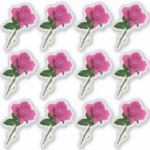 Dutzend Pink-Rosa-Blatt-Aufkleber Aufkleber