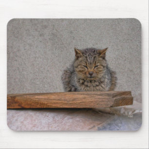 Dutzende Tigerkatze Mousepad