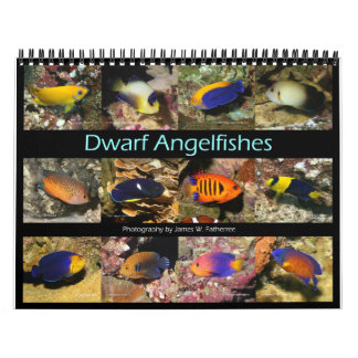 Dwarf Angelfish Wall Kalender von J.W. Vater.