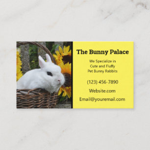 Dwarf Hotot Bunny Rabbit Breeder Visitenkarte