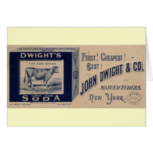 Dwight's Soda-1879