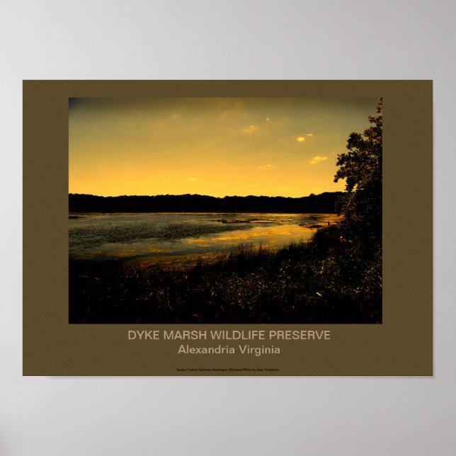 DYKE MARSH WILDLIFE PRESERVE POSTER (Vorne)