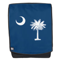 Dynamic South Carolina State Flag Graphic