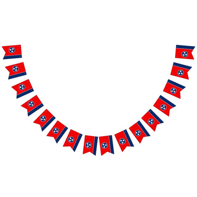 Dynamic Tennessee State Flag Graphic on a Wimpelkette (Alle)