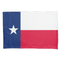 Dynamic Texas State Flag Graphic on a