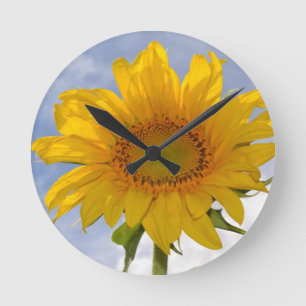Dynamische Sonnenblume-Uhr Runde Wanduhr