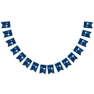 Dynamische South- CarolinaStaats-Flaggen-Grafik Wimpelkette