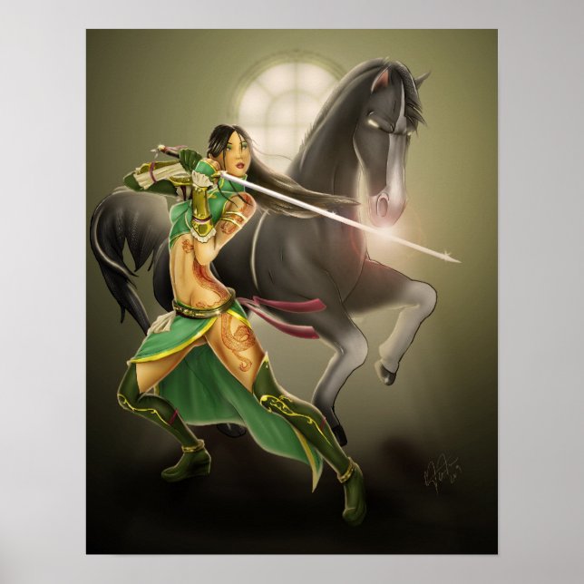 Dynasty Warrior Poster (Vorne)