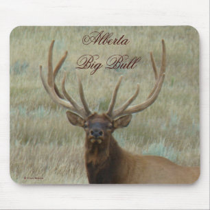 E10 Bull-Elch mit samtigem Geweih Mousepad