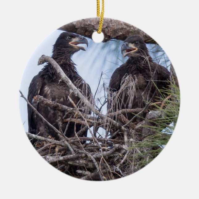 E10 u. E11Ornament Keramik Ornament (Vorne)