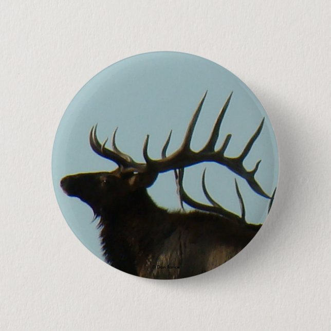 E11 Bull Elk Silhouette Head Shot Button (Vorderseite)
