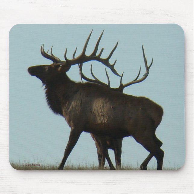 E11 Stier Elch-Hörner auf der Horizont-Silhouette Mousepad (Vorne)