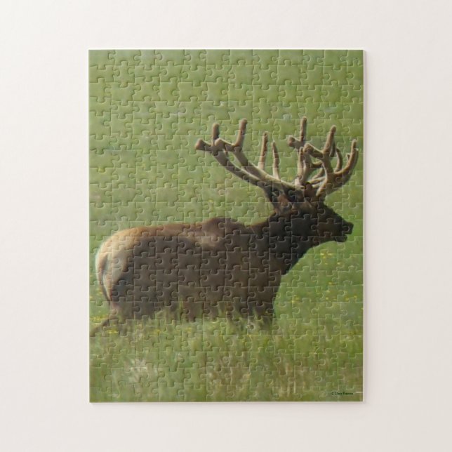 E12 Bull Elk 1 Bull oder 2 ? (Vertikal)