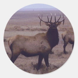 E19 Bull Elk Double Drop Tines Runder Aufkleber
