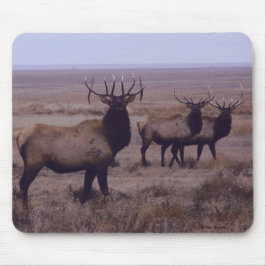 E19 Stier Elch-Doppelt-Tropfen-Zinken Mousepad