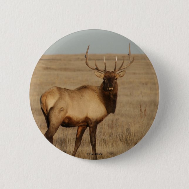 E1 Bull Elk Button (Vorderseite)