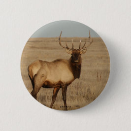 E1 Bull Elk Button
