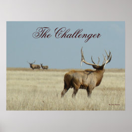 E20 Bull Elk Challenger Poster