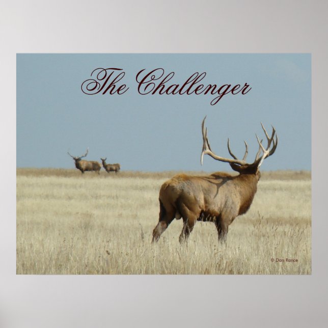 E20 Bull Elk Challenger Poster (Vorne)