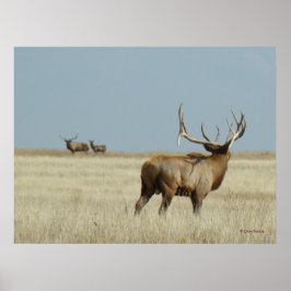 E20 Bull Elk Challenger Poster