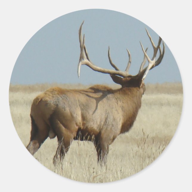 E20 Bull Elk Challenger Runder Aufkleber (Vorderseite)