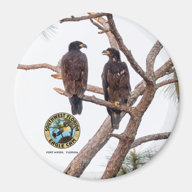 E21 & E22 Beste Buds Saison 11 Magnet (Vorne)