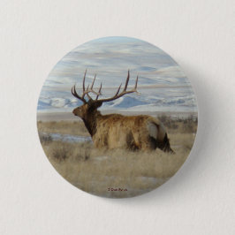 E22 Bull Elk and Snowy Hills Button