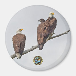 E23 & Family- M15, F23 & First Eaglet Magnet