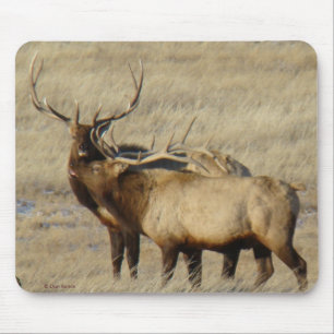 E24 Bull Elk Mousepad