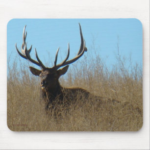 E26 Bull-Elch liegt im Unkraut Mousepad
