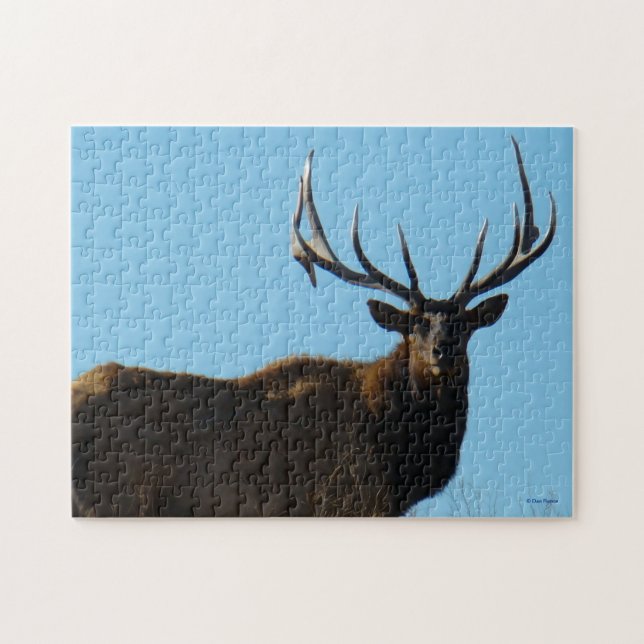 E27 Bull Elk Sky Lined (Horizontal)