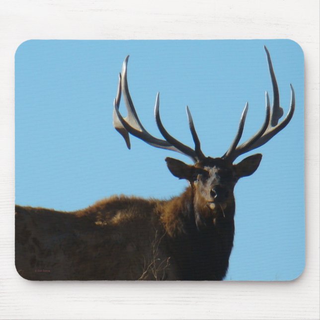 E27 Bull Elk Sky Lined Mousepad (Vorne)