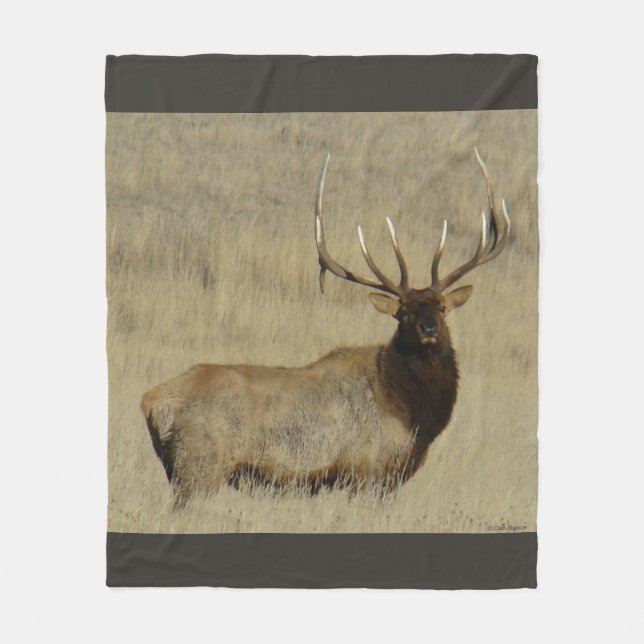 E30 Bull Elk Big Bull Fleecedecke (Vorderseite)