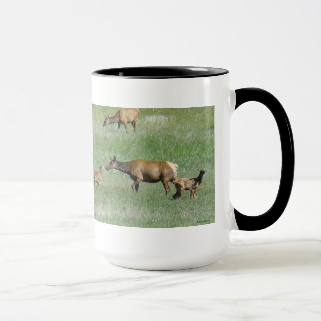 E3 Kuhweiden und Kälber Tasse (Rechts)