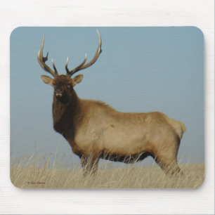 E43 Bull-Elch Mousepad