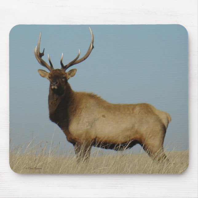 E43 Bull-Elch Mousepad (Vorne)
