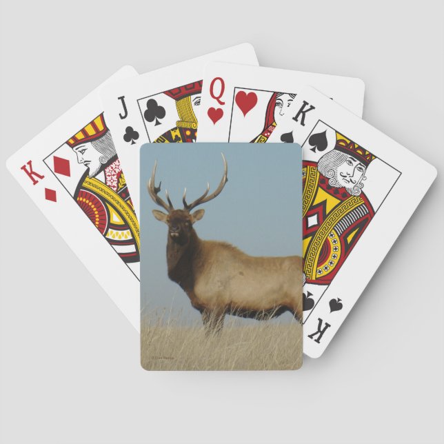 E43 Bull Elk Sky Lined Spielkarten (Rückseite)