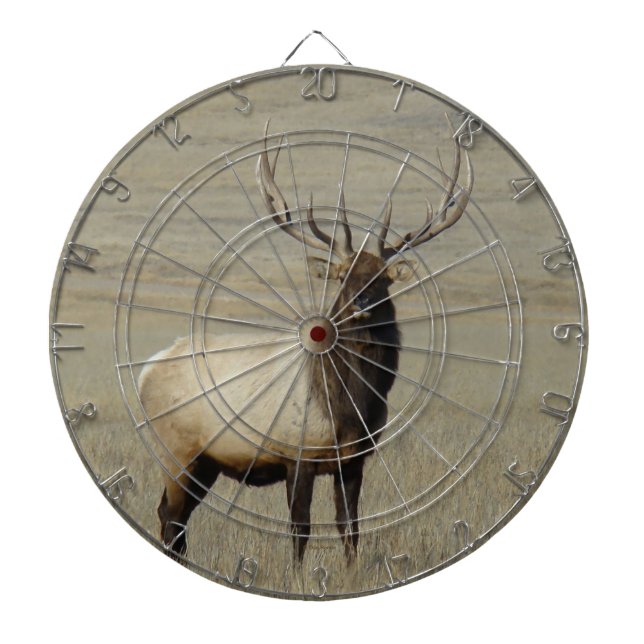 E46 Bull Elk Big Bull Dartscheibe (vorne)