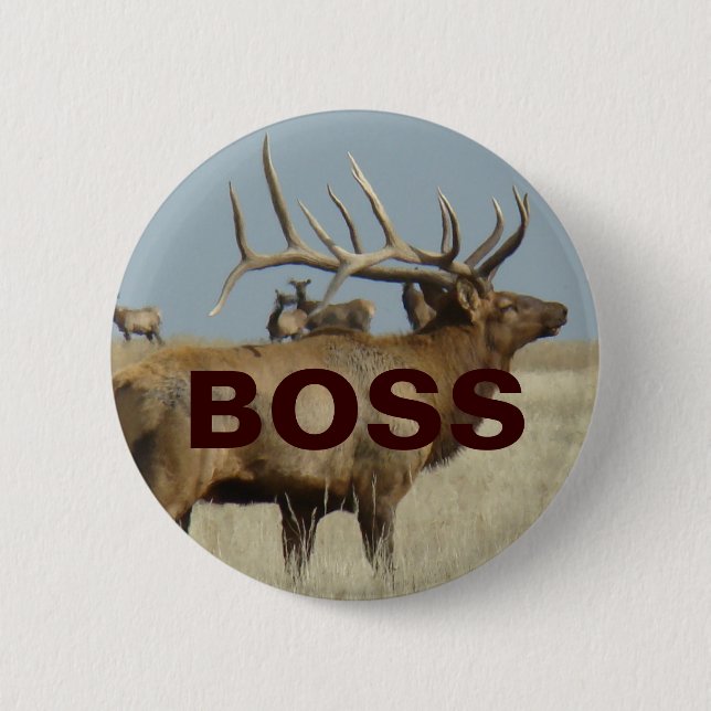 E4 Bull Elk Button (Vorderseite)
